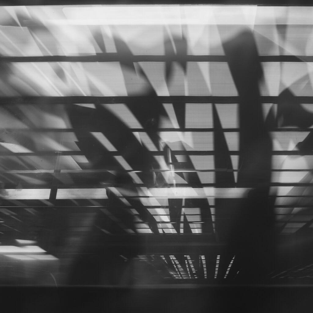 _DSF0745_Jun 05 2022_v3_Green_1stars_ANTOINEFRANCHET_BROCHURE