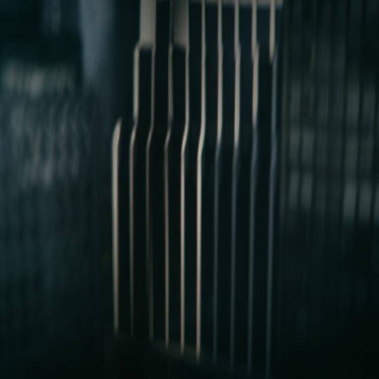 DSCF5341_Dec 19 2023_v1_Green_0stars_ANTOINEFRANCHET